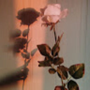 Meet your Posher, Dulce